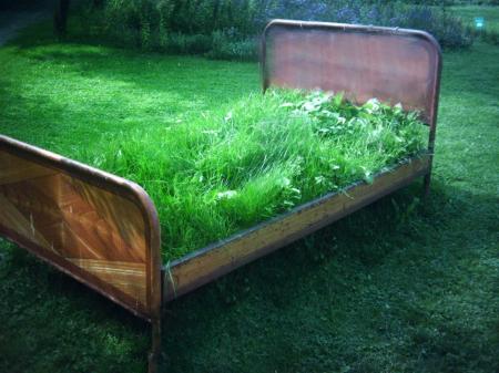 UN LIT DE VERDURE